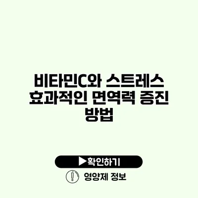 비타민C와 스트레스 효과적인 면역력 증진 방법