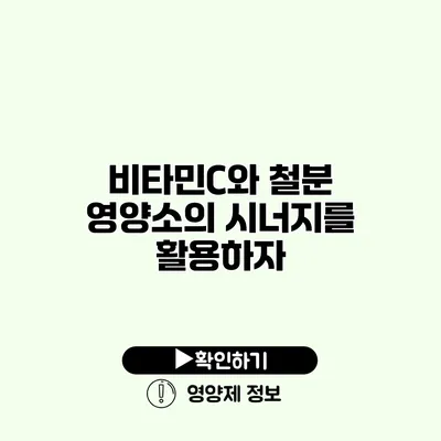 비타민C와 철분 영양소의 시너지를 활용하자