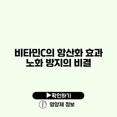 비타민C의 항산화 효과 노화 방지의 비결