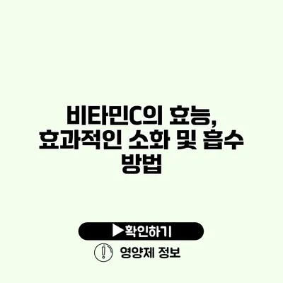 비타민C의 효능, 효과적인 소화 및 흡수 방법