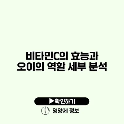 비타민C의 효능과 오이의 역할 세부 분석