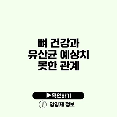 뼈 건강과 유산균 예상치 못한 관계