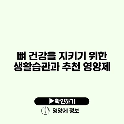 뼈 건강을 지키기 위한 생활습관과 추천 영양제