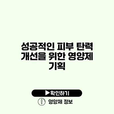 성공적인 피부 탄력 개선을 위한 영양제 기획