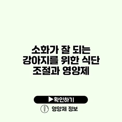 소화가 잘 되는 강아지를 위한 식단 조절과 영양제