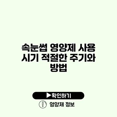 속눈썹 영양제 사용 시기 적절한 주기와 방법