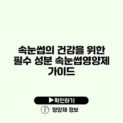 속눈썹의 건강을 위한 필수 성분 속눈썹영양제 가이드