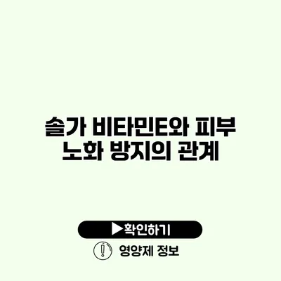 솔가 비타민E와 피부 노화 방지의 관계