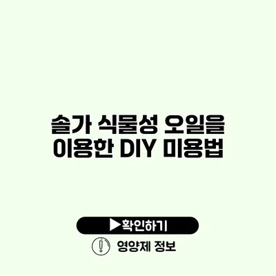 솔가 식물성 오일을 이용한 DIY 미용법