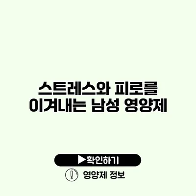 스트레스와 피로를 이겨내는 남성 영양제