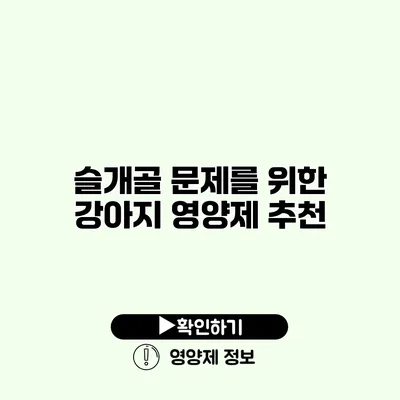 슬개골 문제를 위한 강아지 영양제 추천