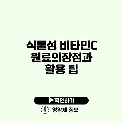 식물성 비타민C 원료의장점과 활용 팁