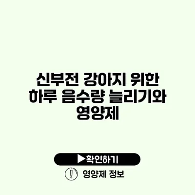 신부전 강아지 위한 하루 음수량 늘리기와 영양제