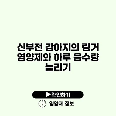 신부전 강아지의 링거 영양제와 하루 음수량 늘리기