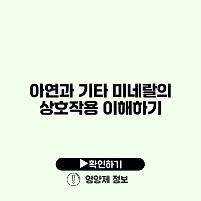 아연과 기타 미네랄의 상호작용 이해하기
