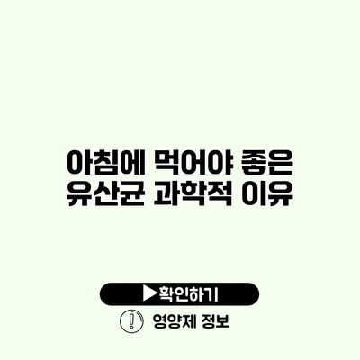 아침에 먹어야 좋은 유산균 과학적 이유