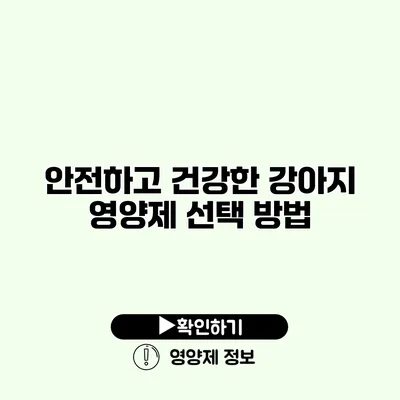 안전하고 건강한 강아지 영양제 선택 방법