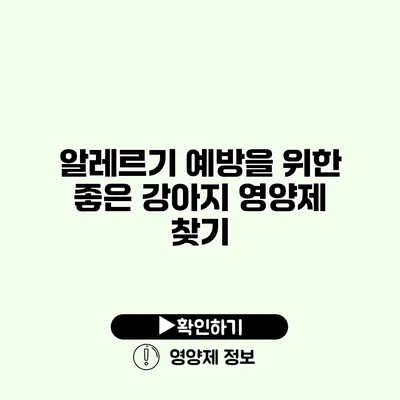 알레르기 예방을 위한 좋은 강아지 영양제 찾기