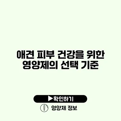 애견 피부 건강을 위한 영양제의 선택 기준 애견 피부 건강을 위한 영양제의 선택 기준