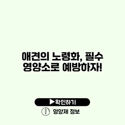 애견의 노령화, 필수 영양소로 예방하자!