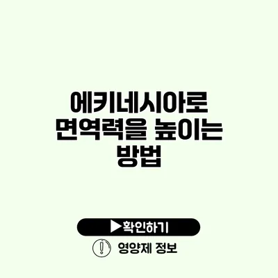 에키네시아로 면역력을 높이는 방법 에키네시아로 면역력을 높이는 방법