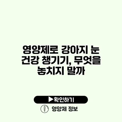 영양제로 강아지 눈 건강 챙기기, 무엇을 놓치지 말까?