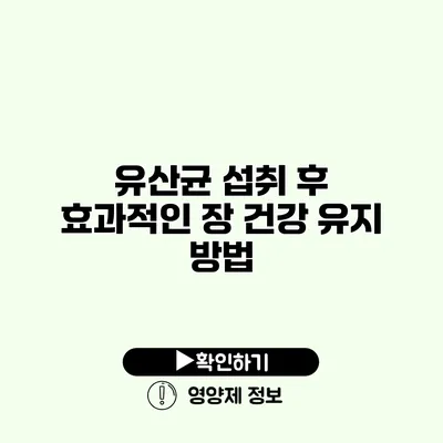 유산균 섭취 후 효과적인 장 건강 유지 방법