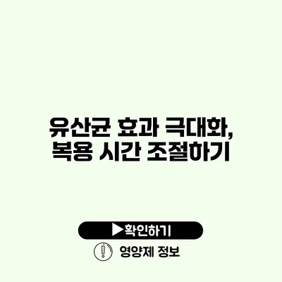 유산균 효과 극대화, 복용 시간 조절하기