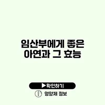 임산부에게 좋은 아연과 그 효능