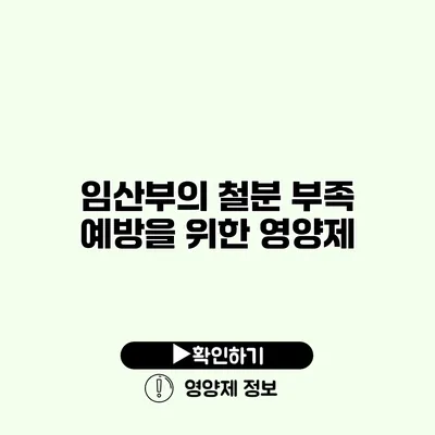 임산부의 철분 부족 예방을 위한 영양제