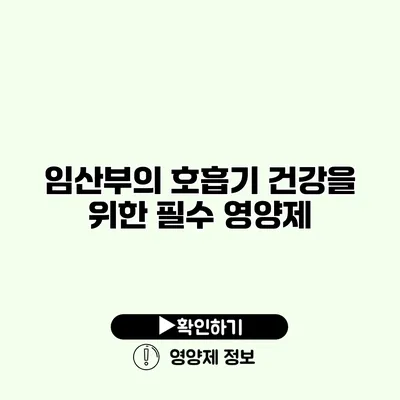 임산부의 호흡기 건강을 위한 필수 영양제 임산부의 호흡기 건강을 위한 필수 영양제