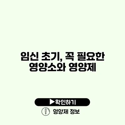 임신 초기, 꼭 필요한 영양소와 영양제