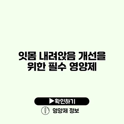 잇몸 내려앉음 개선을 위한 필수 영양제