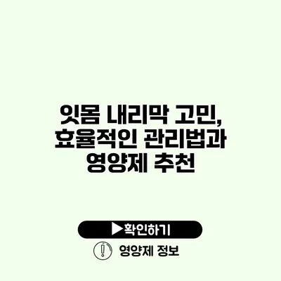 잇몸 내리막 고민, 효율적인 관리법과 영양제 추천