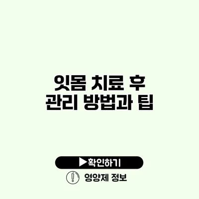 잇몸 치료 후 관리 방법과 팁
