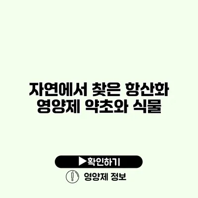 자연에서 찾은 항산화 영양제 약초와 식물