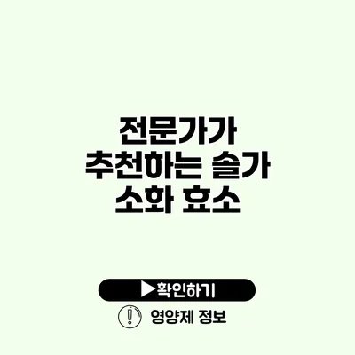 전문가가 추천하는 솔가 소화 효소