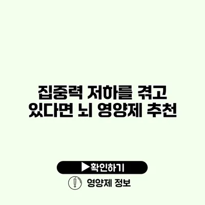 집중력 저하를 겪고 있다면? 뇌 영양제 추천