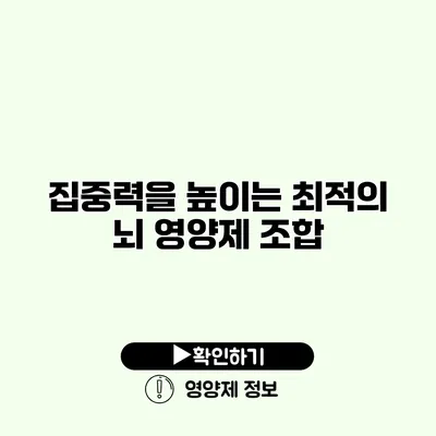 집중력을 높이는 최적의 뇌 영양제 조합