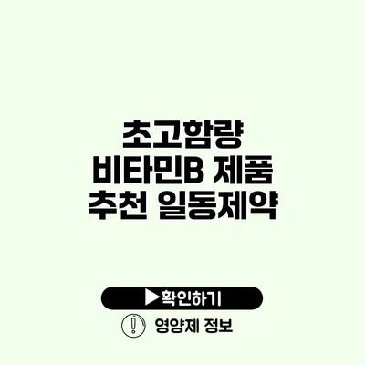 초고함량 비타민B 제품 추천 일동제약