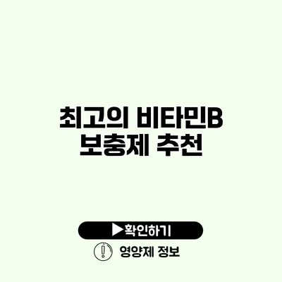 최고의 비타민B 보충제 추천