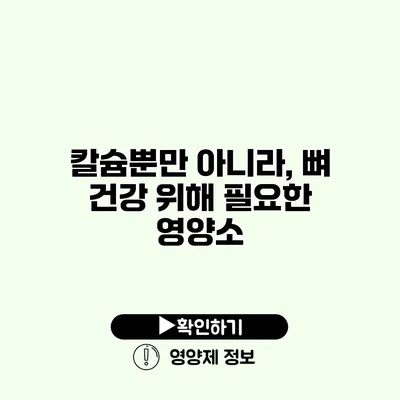 칼슘뿐만 아니라, 뼈 건강 위해 필요한 영양소