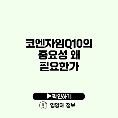 코엔자임Q10의 중요성 왜 필요한가?