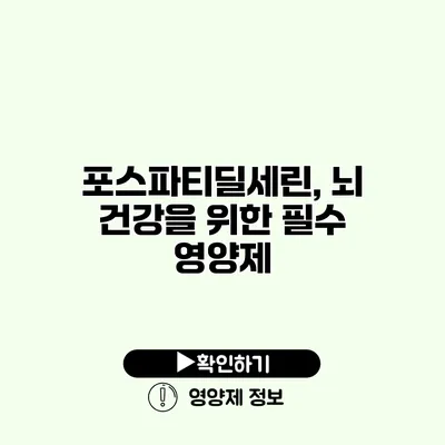 포스파티딜세린, 뇌 건강을 위한 필수 영양제