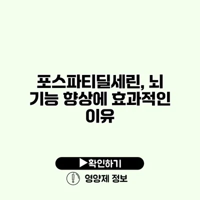 포스파티딜세린, 뇌 기능 향상에 효과적인 이유