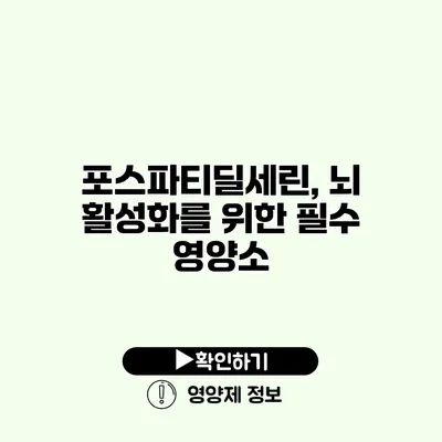 포스파티딜세린, 뇌 활성화를 위한 필수 영양소