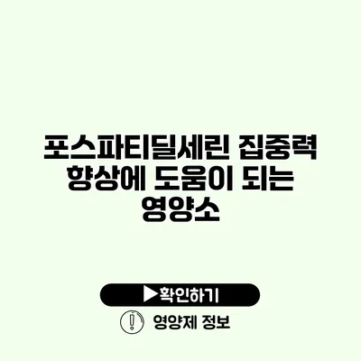 포스파티딜세린 집중력 향상에 도움이 되는 영양소