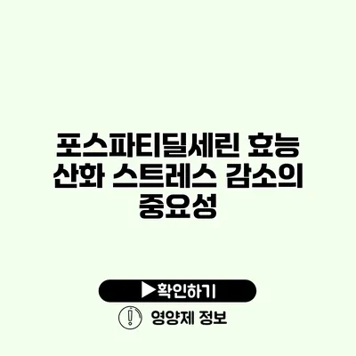 포스파티딜세린 효능 산화 스트레스 감소의 중요성