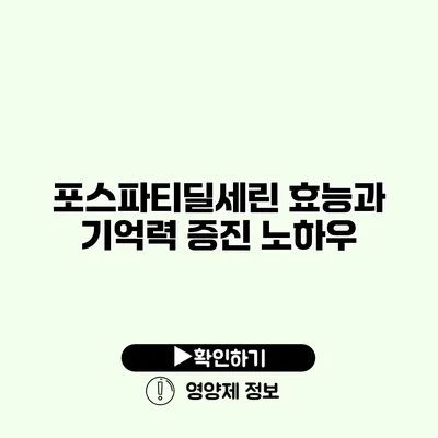 포스파티딜세린 효능과 기억력 증진 노하우