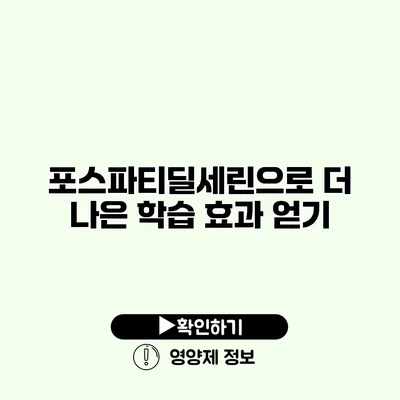 포스파티딜세린으로 더 나은 학습 효과 얻기